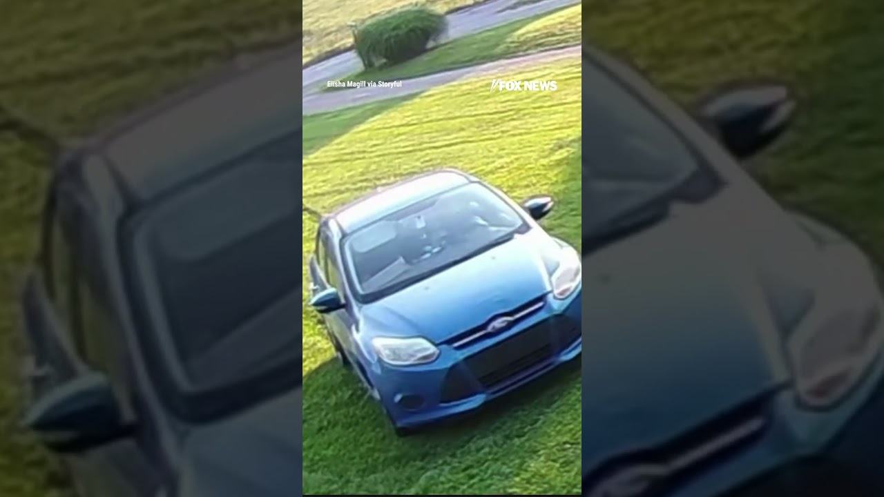 WATCH: Amazon driver skips the driveway and drives straight across freshly cut lawn