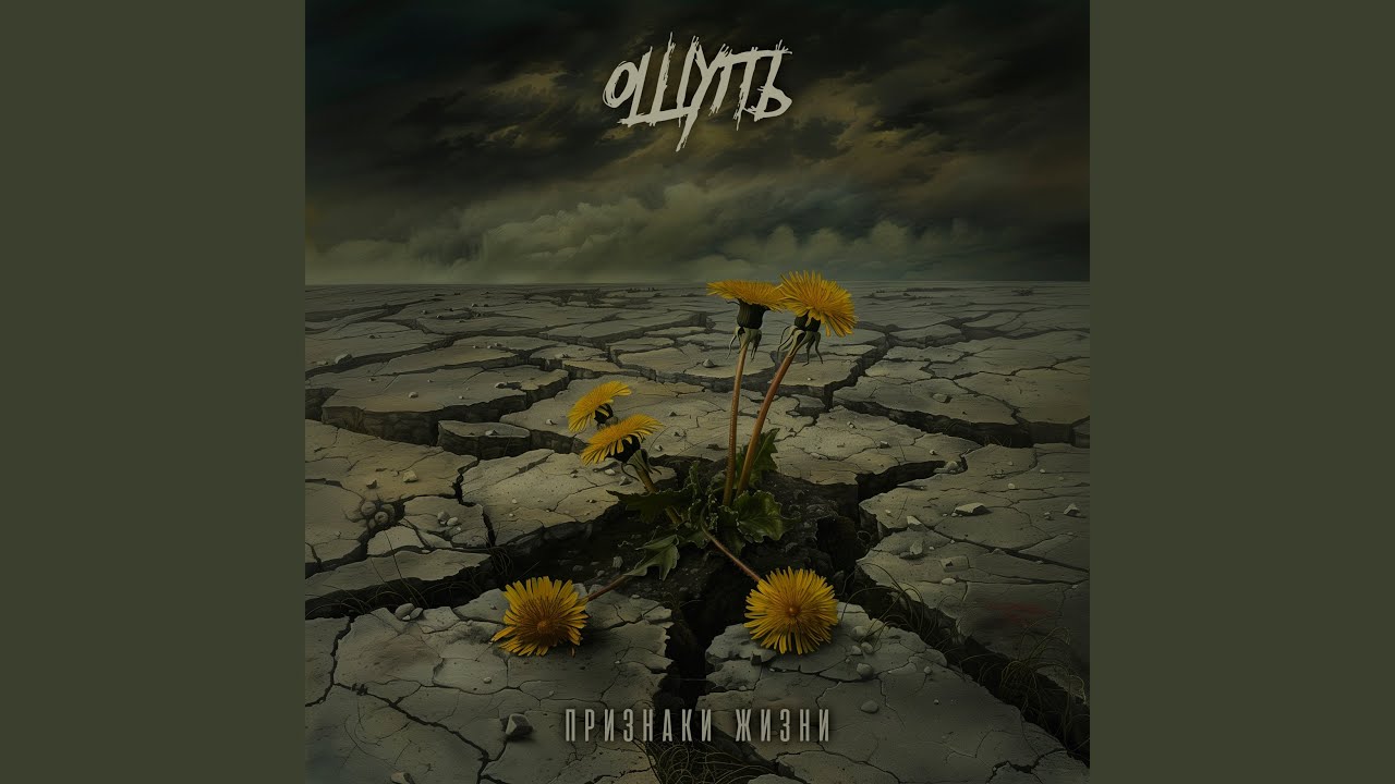 Белая медведица