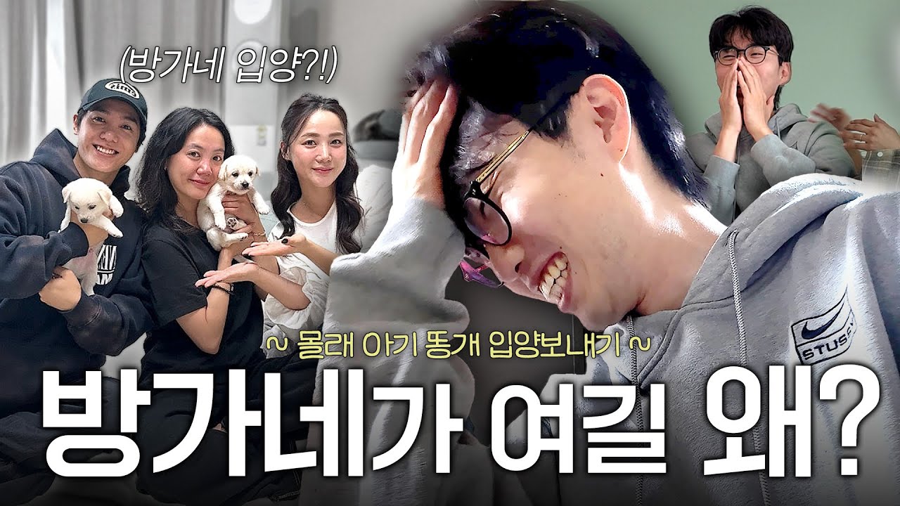 아기 강아지 몰래 입양 하러 온 방가네 [이강태 몰래카메라]