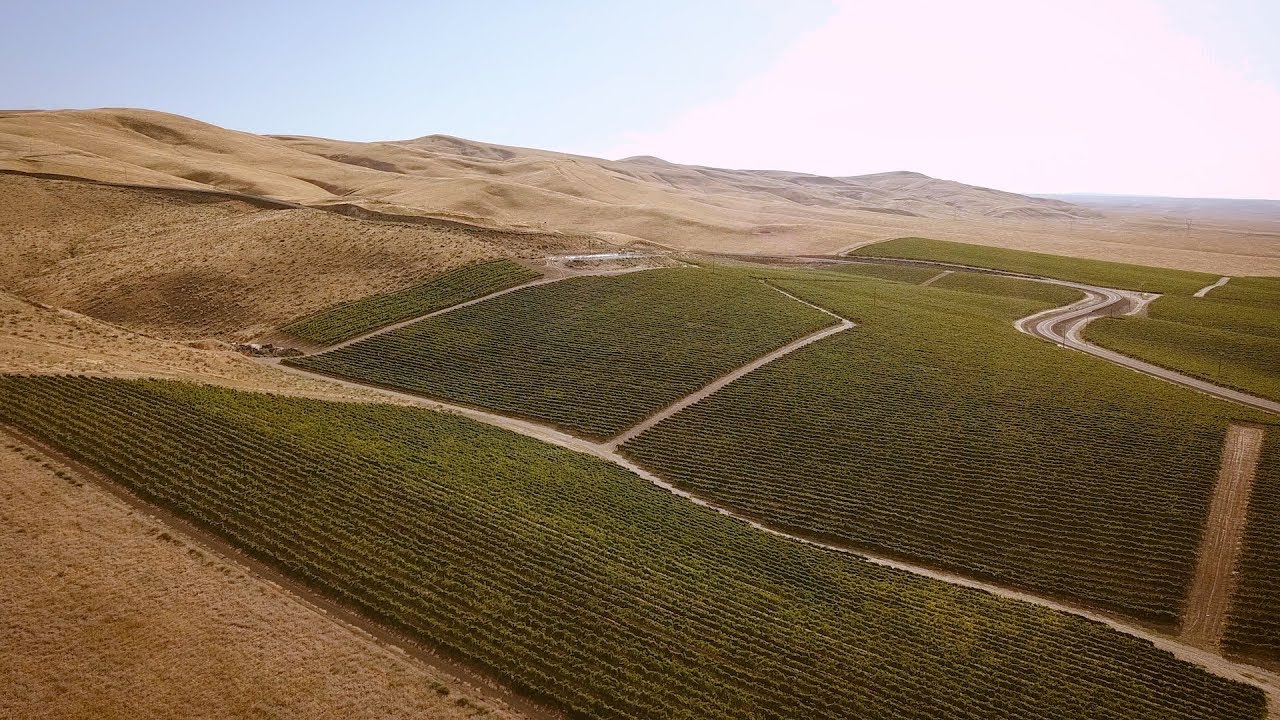 Maryhill Vineyard Series Tour: Art Den Hoed