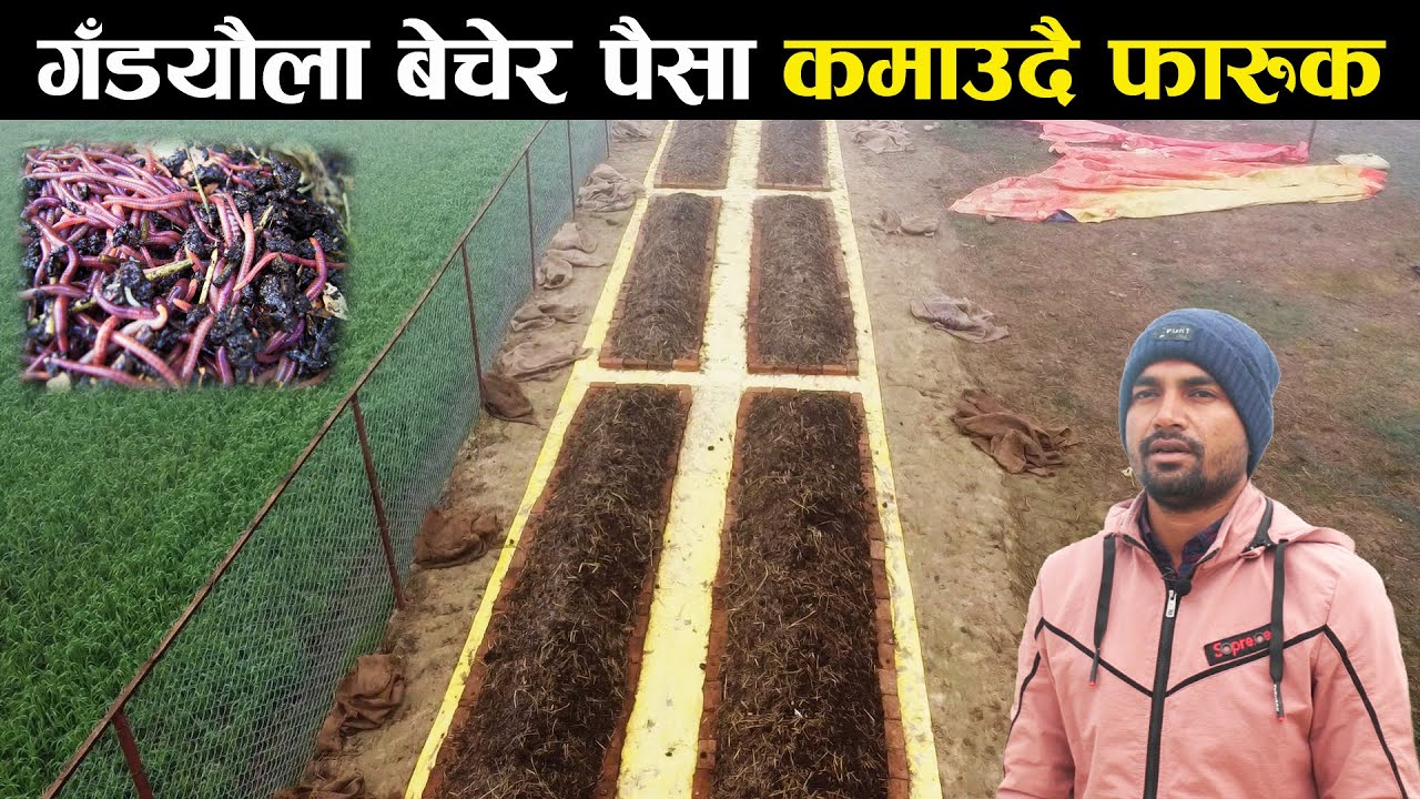 गँड्यौला बेचेर पैसा कमाउने तरिका सिकाउदै फारुक खान - Worm farming in Nepal | Vermicompost