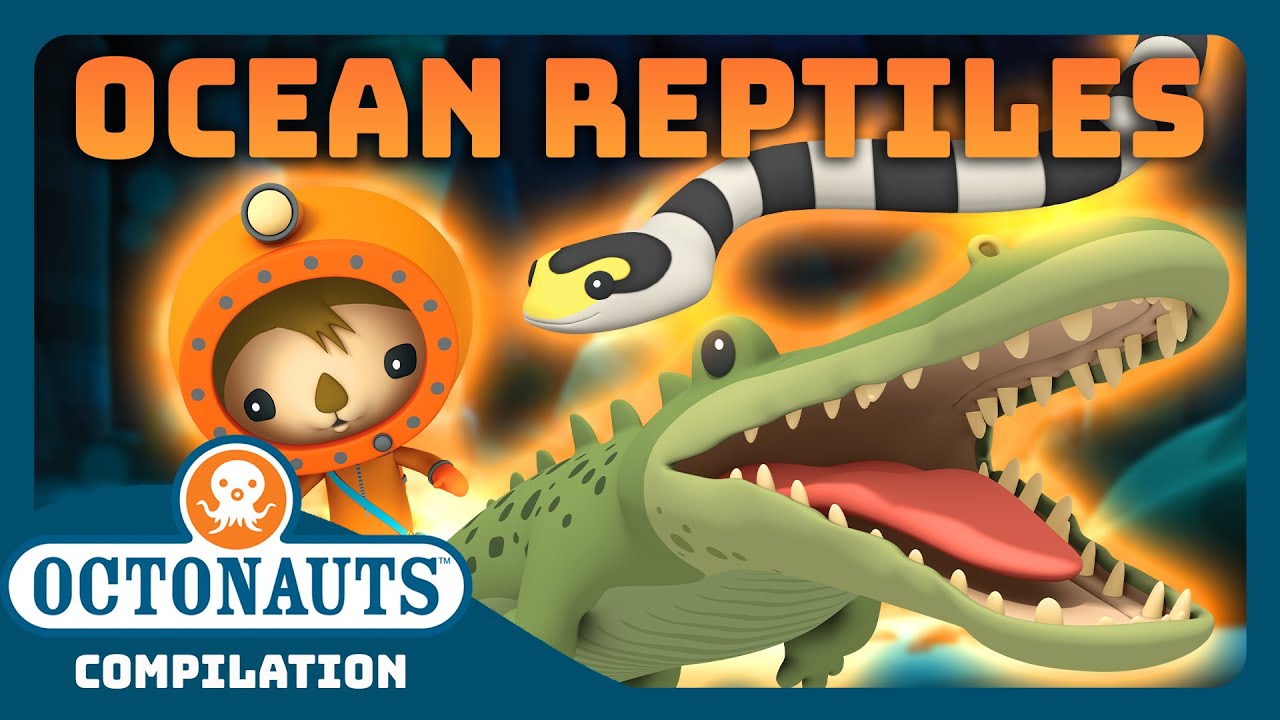 @Octonauts - 🐍 Awesome Ocean Reptiles! 🐊 | 2 Hours+ Full Episodes Marathon