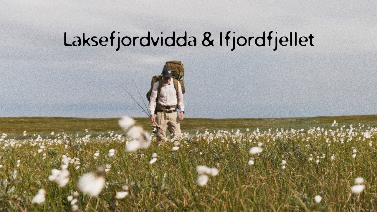 Laksefjordvidda & Ifjordfjellet  - Fangede røyer  - [5/7]