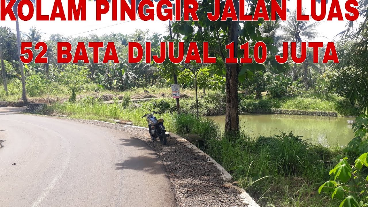 Kolam pinggir jalan luas 52 bata dijual 110 juta