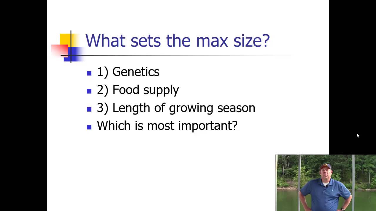 Fish Tech Lecture 12a  - Fish Growth