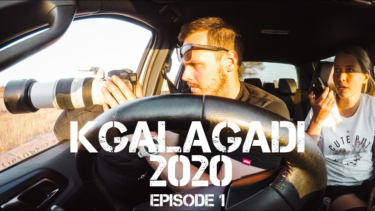 Kgalagadi Transfrontier National Park 2020