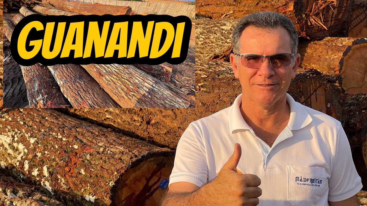 Guanandi, Jacareuba, cedro do Pântano, madeira da amazonia.