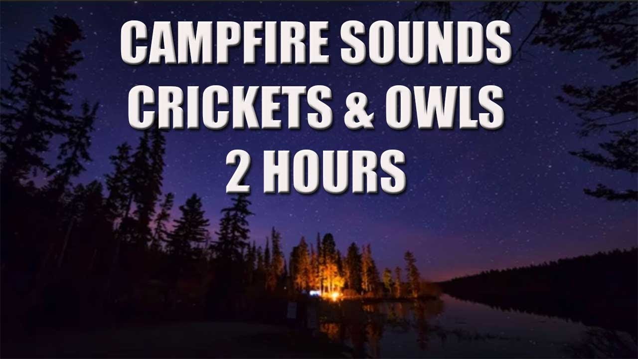 Campfire Night Time Sounds With Crickets & Owls