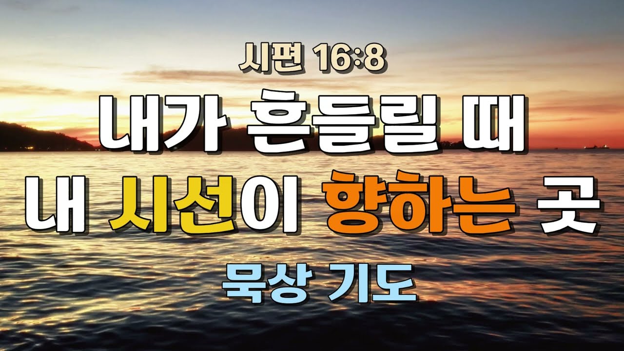 내가 흔들릴 때 내 시선이 향하는 곳 | 시편 16:8 | 묵상 기도