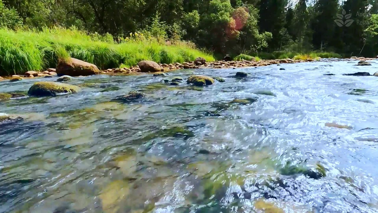 10 Hours of Pristine River Murmur 🌊 Gentle Water Sounds for Deep Sleep