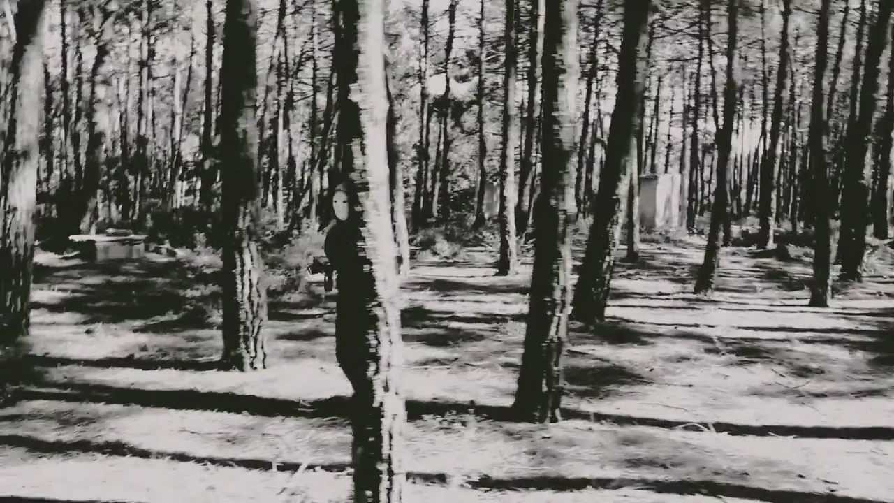 SINISTRO - O Acidente E A Euforia (Official Video) - 2012