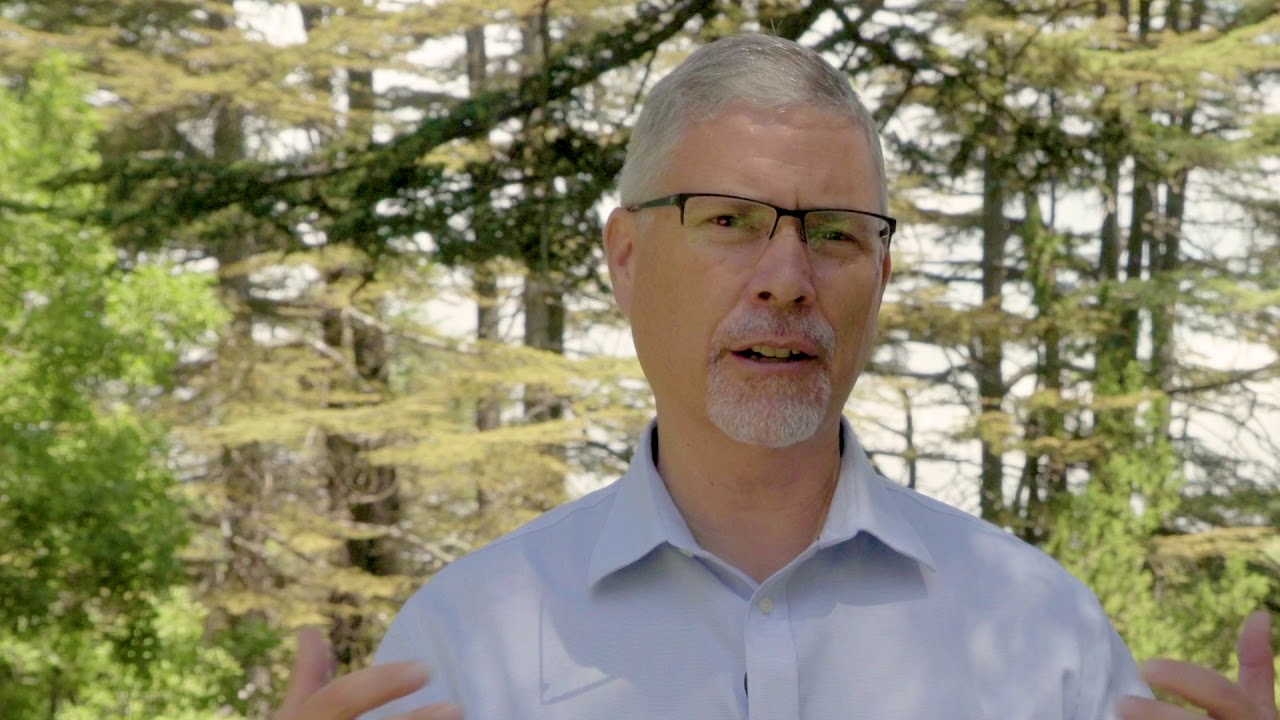 Cedars: A Visual Devotional