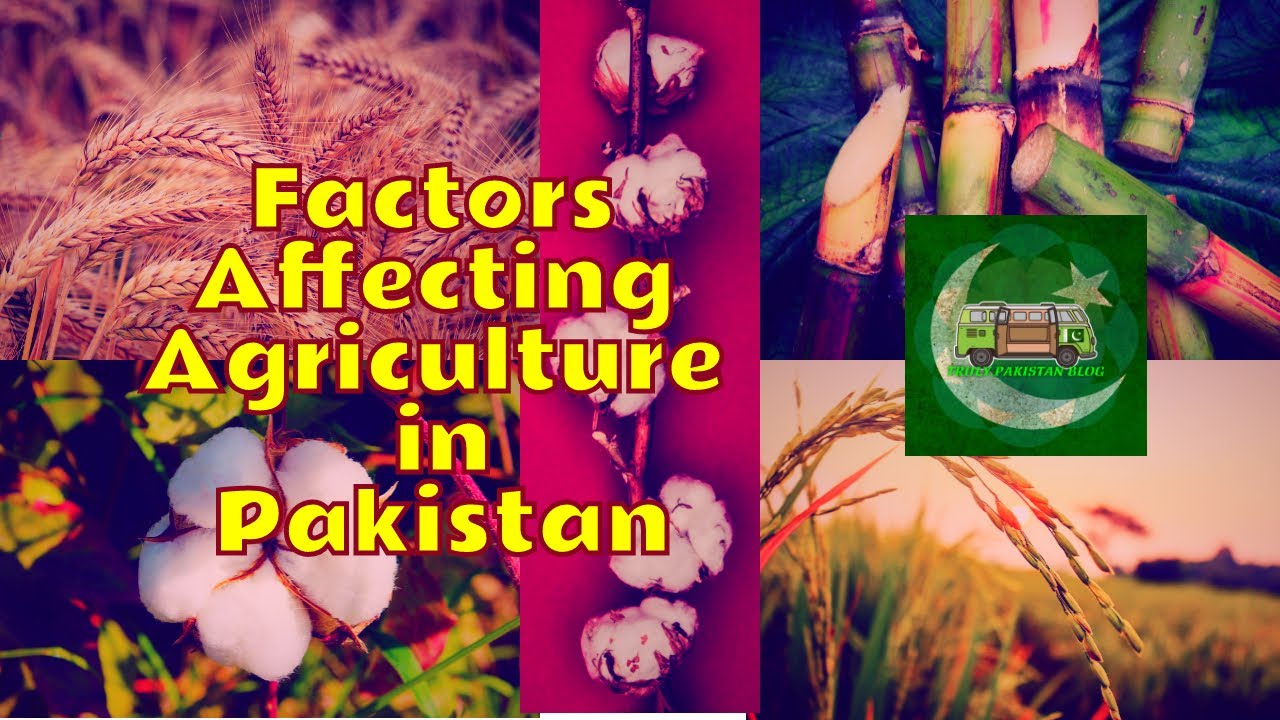 Factors Affecting Agriculture in Pakistan Easy Revision Guide