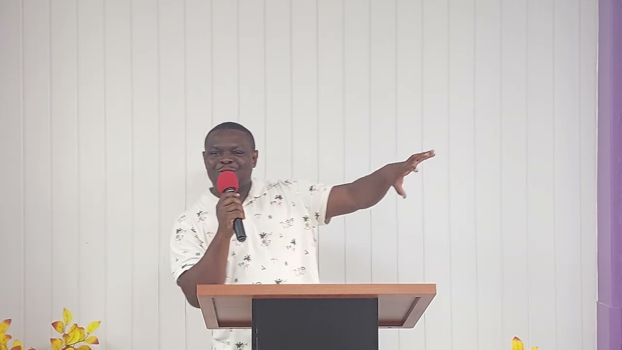 Qui est Intelligent ?