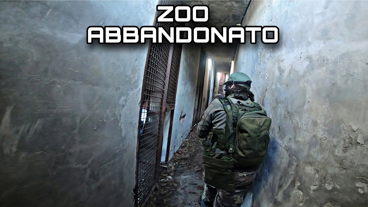 Gioco in uno ZOO ABBANDONATO (Gameplay Partita Softair Boschivo/Urbano CQB)