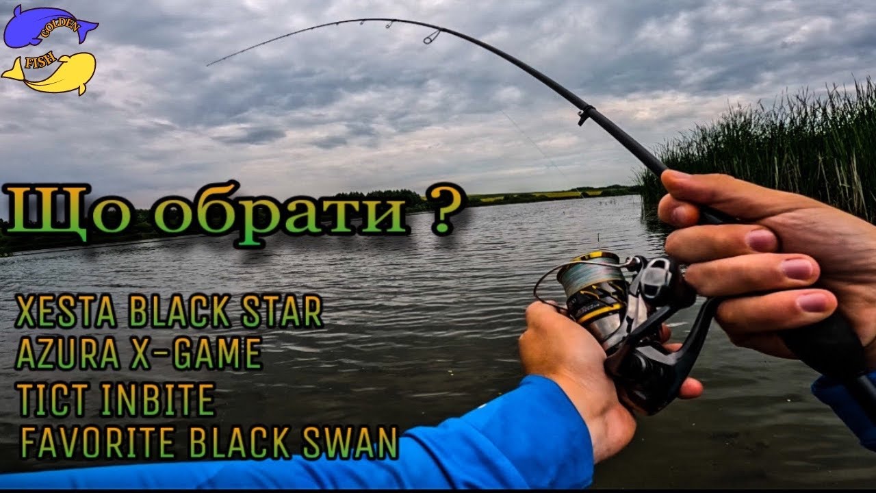 ДЕ ШУКАТИ ЛІТОМ ЩУКУ ТА ОКУНЯ?? BLACK SWAN 842L-T ДЕТАЛЬНИЙ ОГЛЯД!
