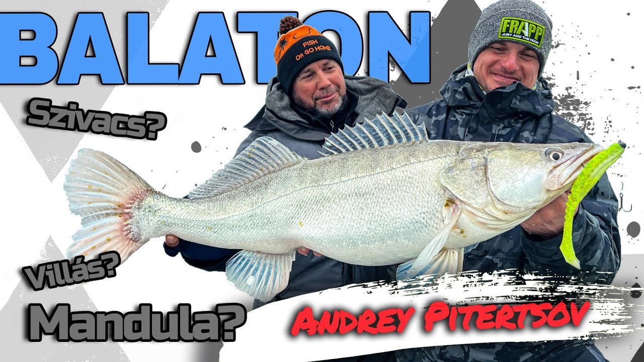 Varga Pál - Andrey Pitertsov - Kapitális süllő pergető horgászata a Balatonon (magyar szinkronnal)