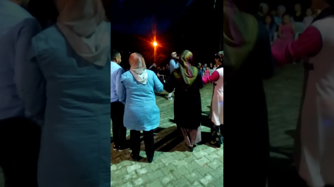 Ökse coştu ( Kazım Kertis)