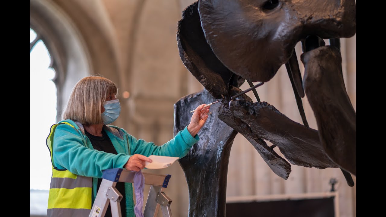All about Dippy the dinosaur