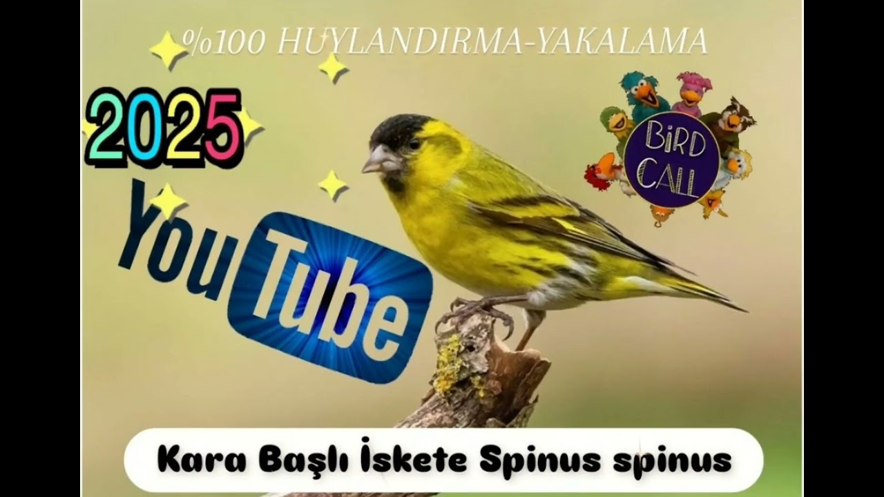 %100 HARİKA İSKETE YAKALAMA - ÖTTÜRME 2025