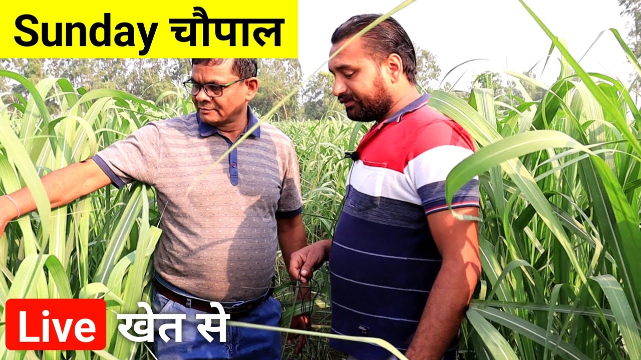 Sunday चौपाल | गन्ने के सफल किसान | Dr. Jagan Singh