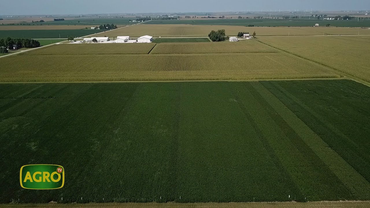 AgroTv en Estados Unidos: Nuevas tecnologías y variedades de soja, que conquistan a los farmers