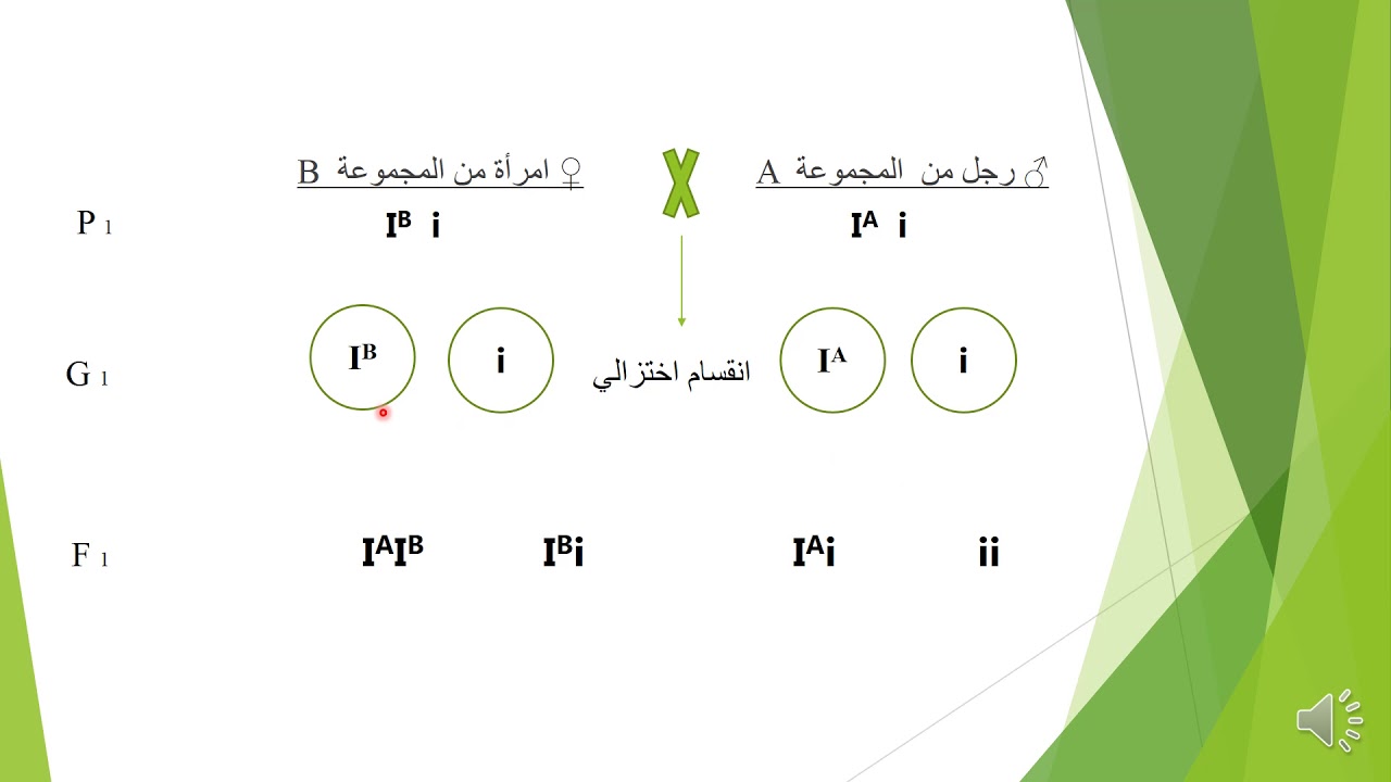 مجاميع الدم حسب نظام ABO في الانسان