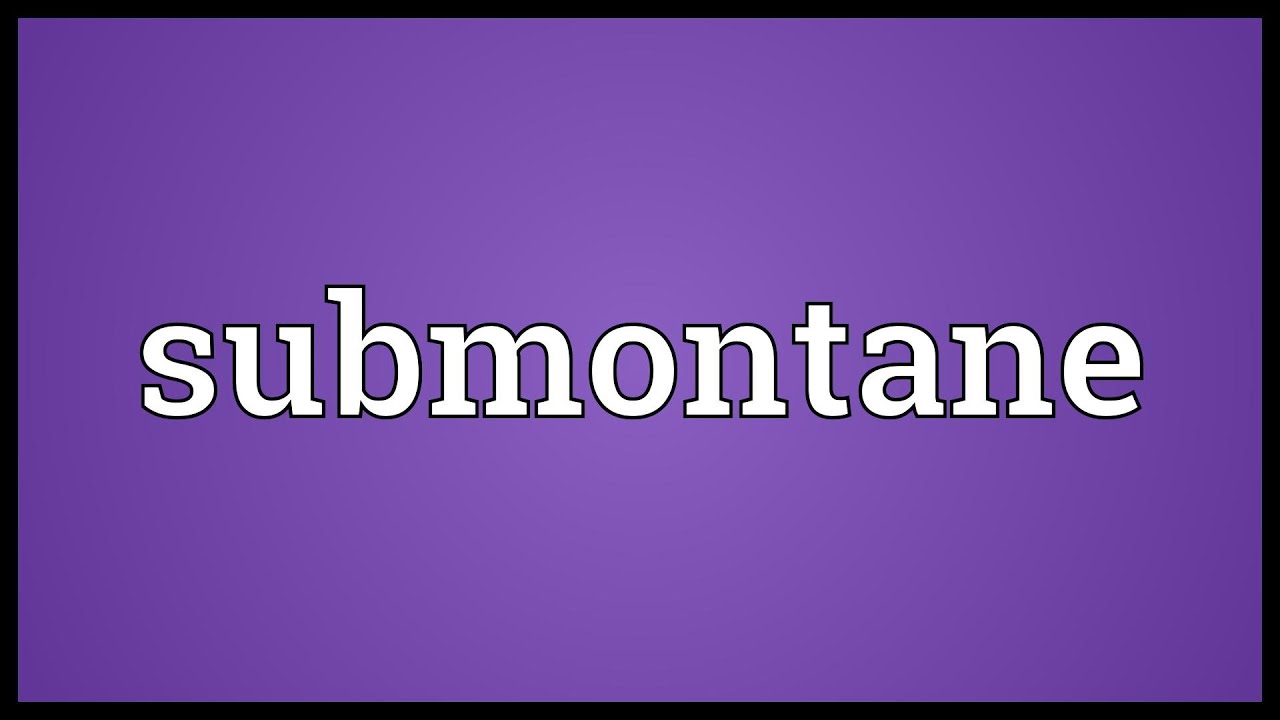 Submontane Meaning