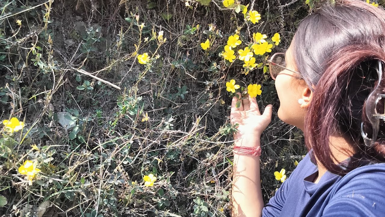 Aaj gyi mai tai ji ke sath seraa 😇