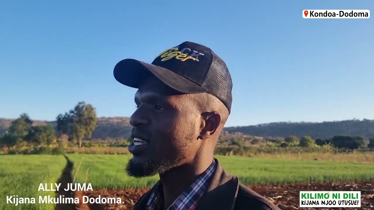 KIJANA MKULIMA WA MFANO DODOMA KONDOA, NJOO UTUSUE KIJANA KILIMO NI DILI,  KILIMO CHA NYANYA NA HOHO