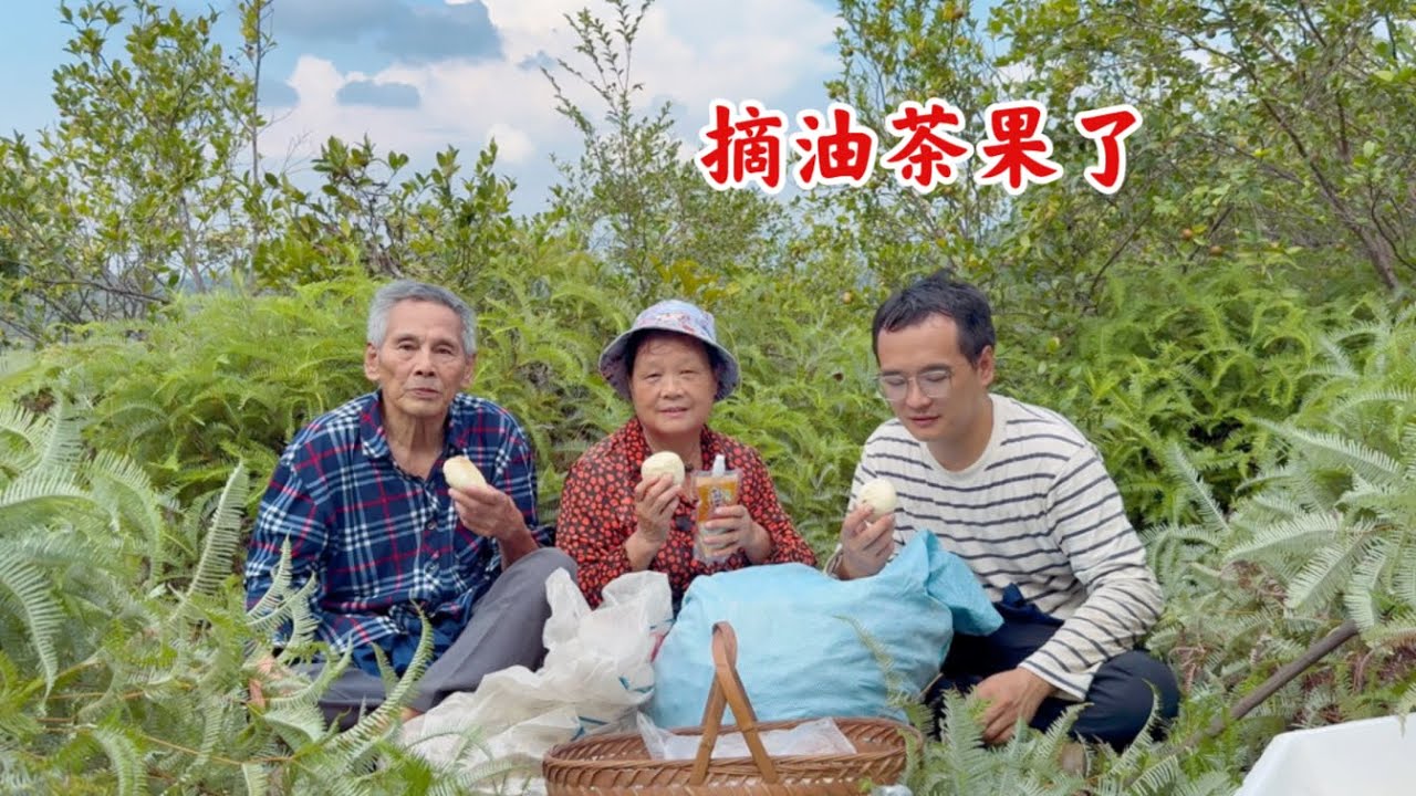 农村婆婆跟儿媳妇同住，要摘油茶果了，看儿媳妇一大早买啥吃的