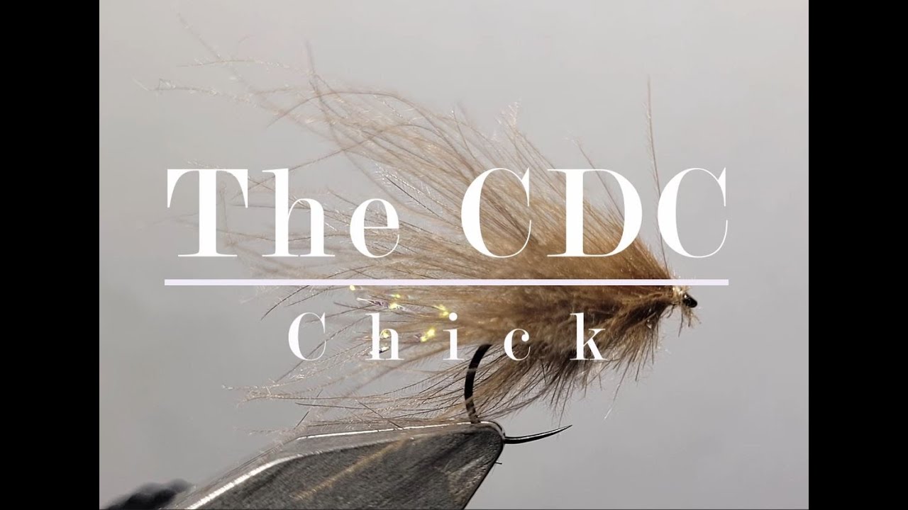 The CDC Chick