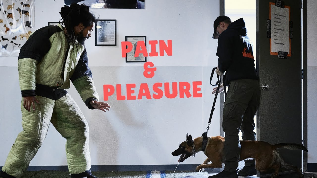 What’s the relation with Hot Sauce, Sadomasochism & Dog Training?  Pleasure, Pain & Dopamine