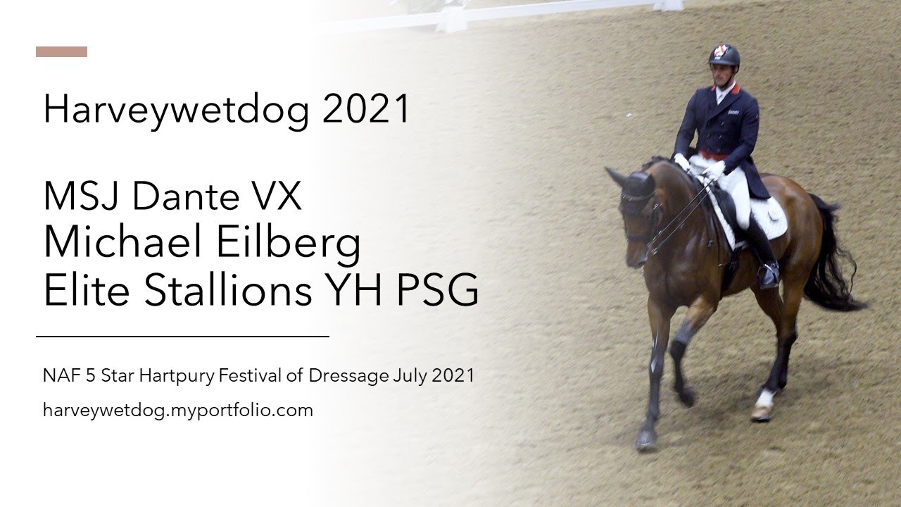 Michael Eilberg and MSJ Dante VX Elite Stallions PSG; NAF 5* Hartpury Festival of Dressage 2021