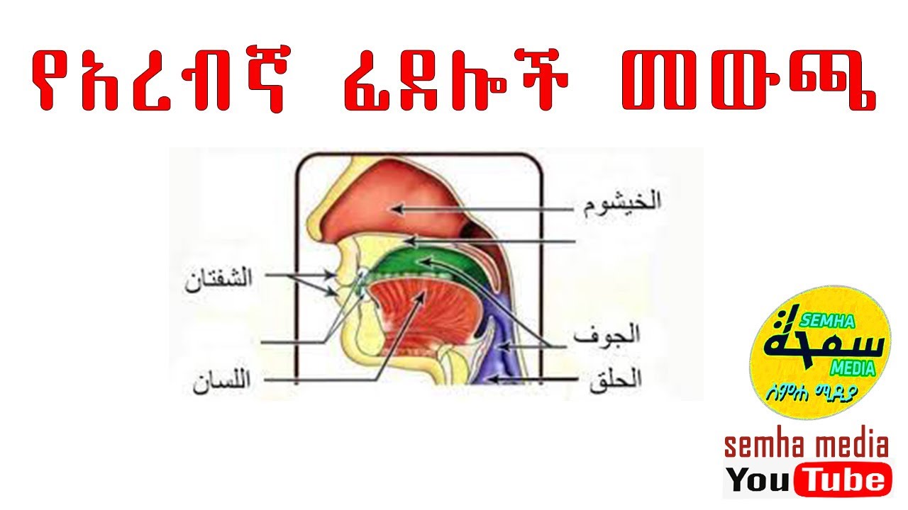 የአረብኛ ፊደላት ድምፅ መውጫዎች (ክፍል አንድ)  || مخارج الحروف