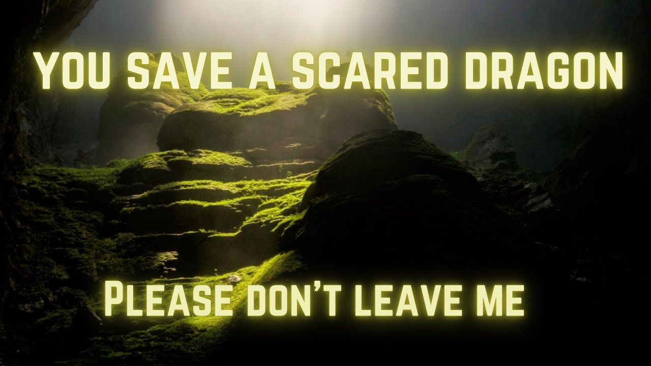 You save a scared dragon asmr