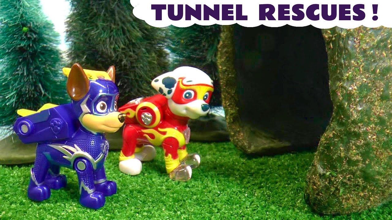 Can the Mighty Pups save the day before it's too Late?