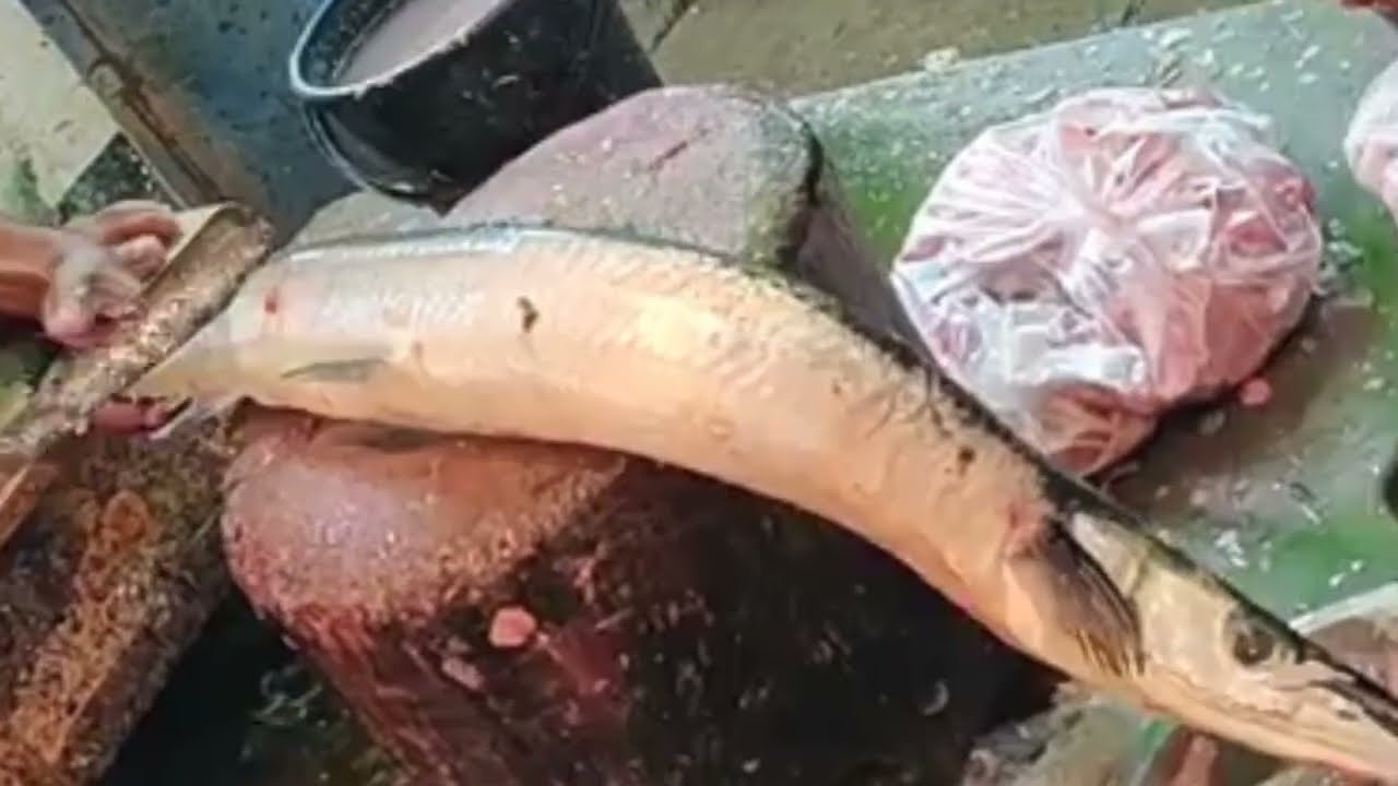 fast fish cutting skills and bd fish & fishing life fish cutting in bangladesh