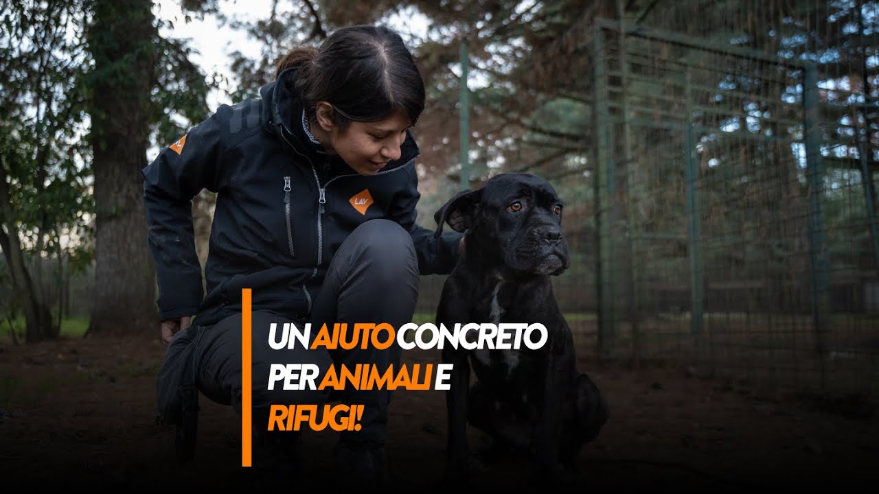 Un AIUTO concreto per GLI ANIMALI e i RIFUGI!