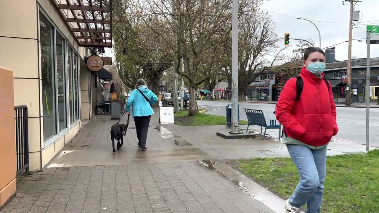 Walking Tour of Cook Street Village, Victoria BC. Canada 🇨🇦(4K)