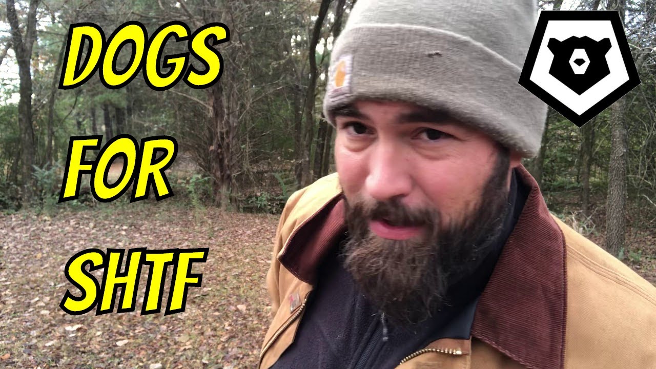 Dogs for SHTF