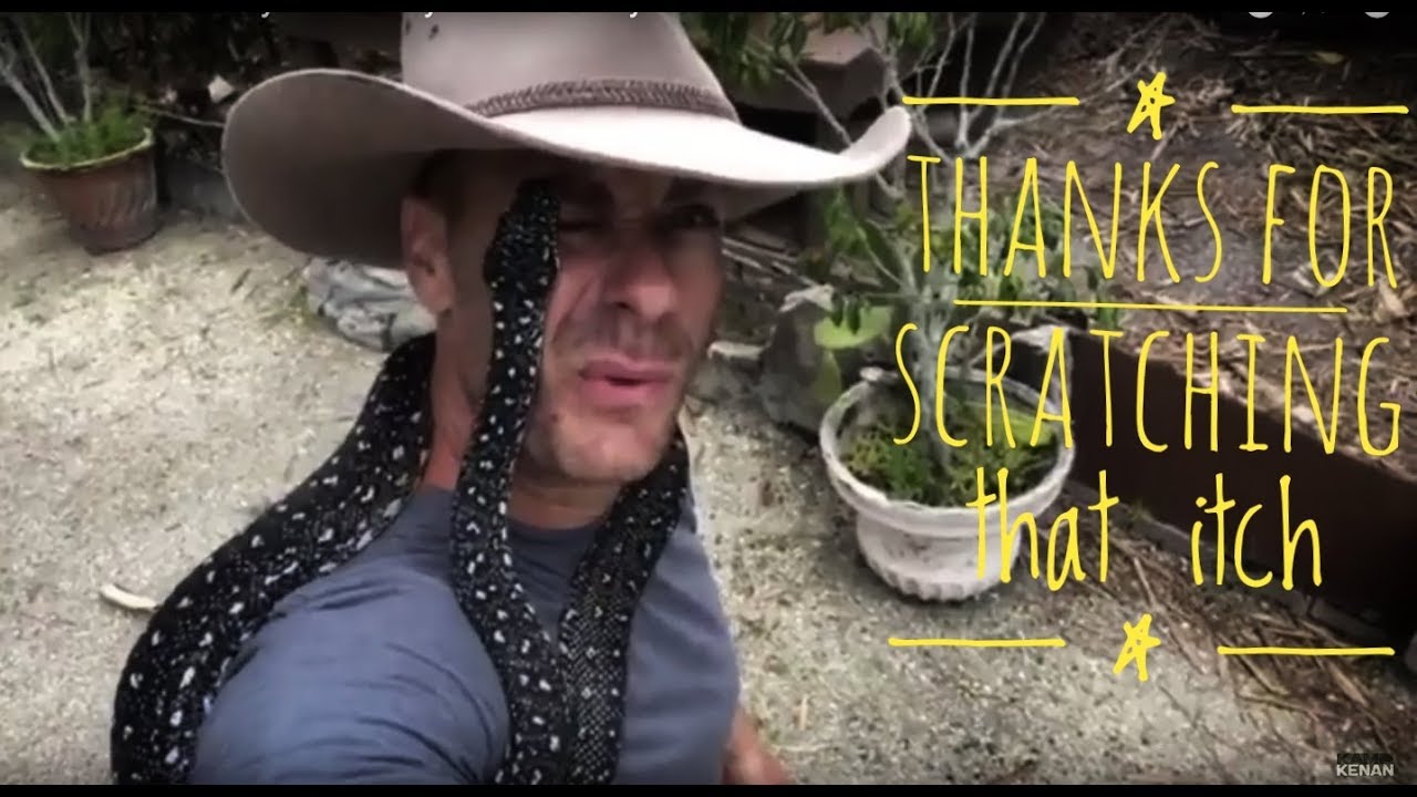 Winner Of Name My Diamond Python Plus Slinky n Friends!