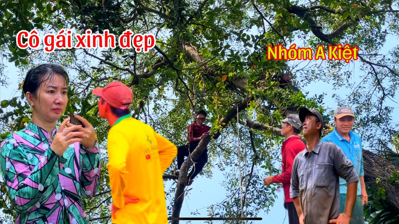 Nhóm A Kiệt cưa cây Bần khủng bên đường 