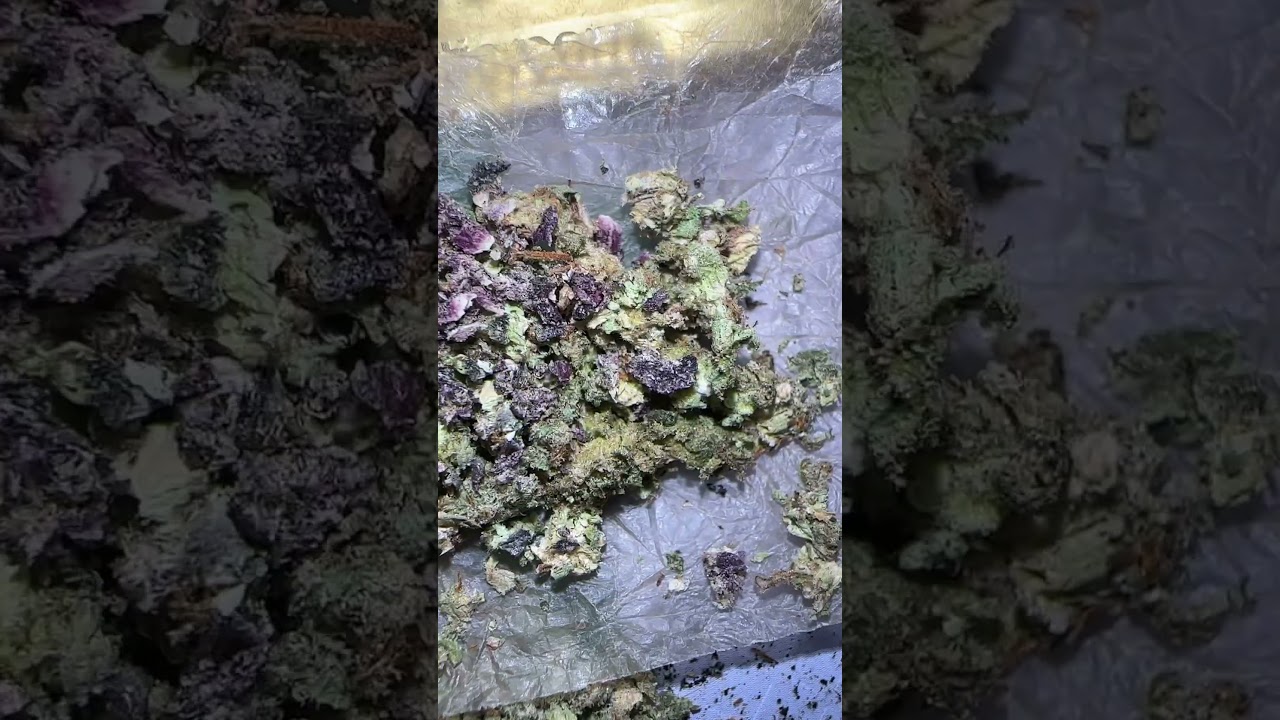 Raw Ethereal Rolling Papers!