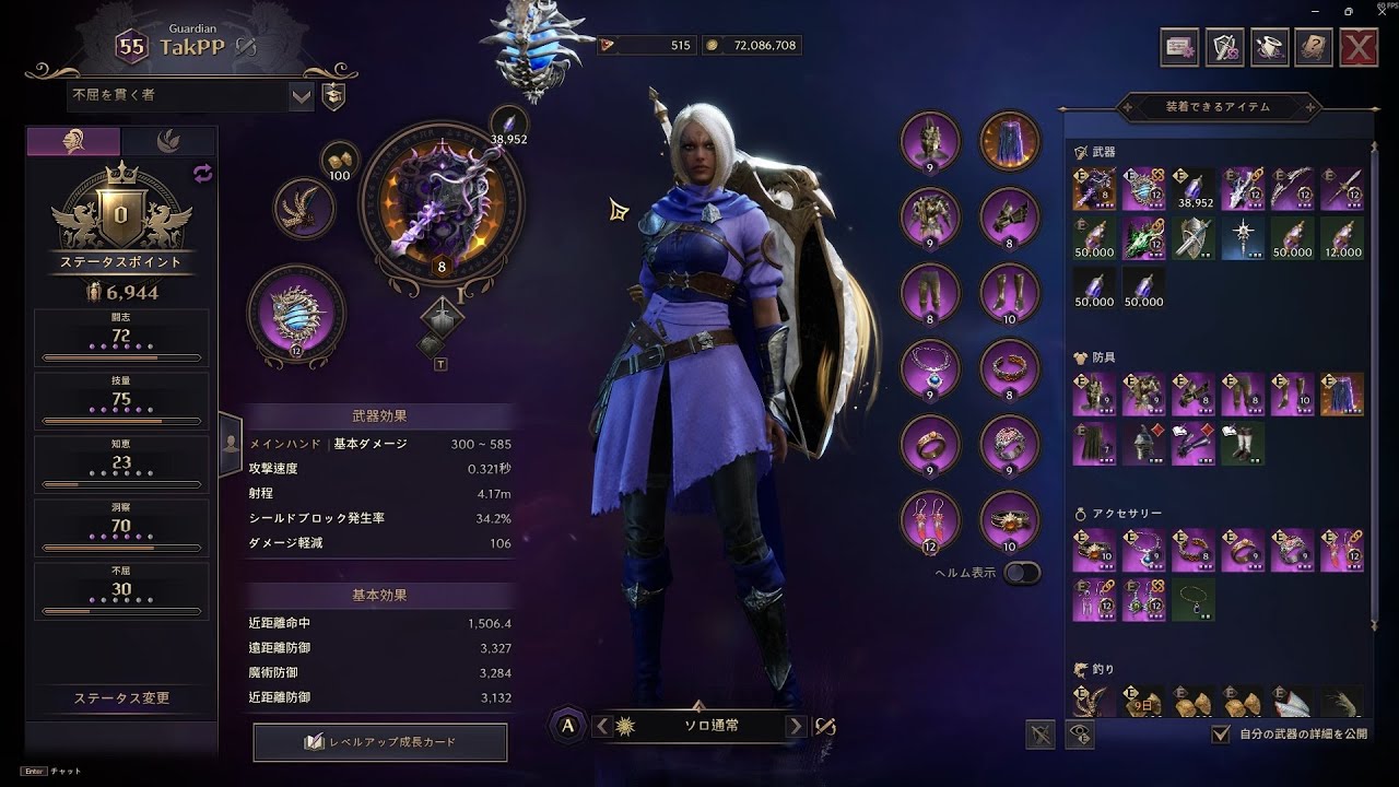 Throne and Liberty - Guardian SNS ORB  ヒロイック装備、Tier3装備強化中