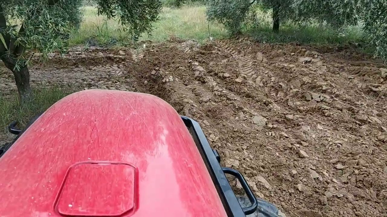 Karataş ile pulluk işleri biterken son pulluk videosu