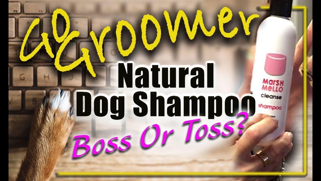 New Natural Dog Shampoo-Boss or Toss | Provide quality care for your pets at home