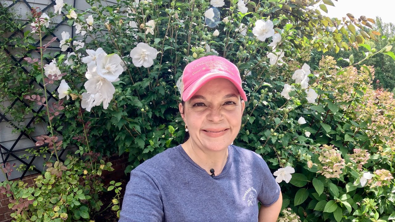 Fixing a Mess In The Garden