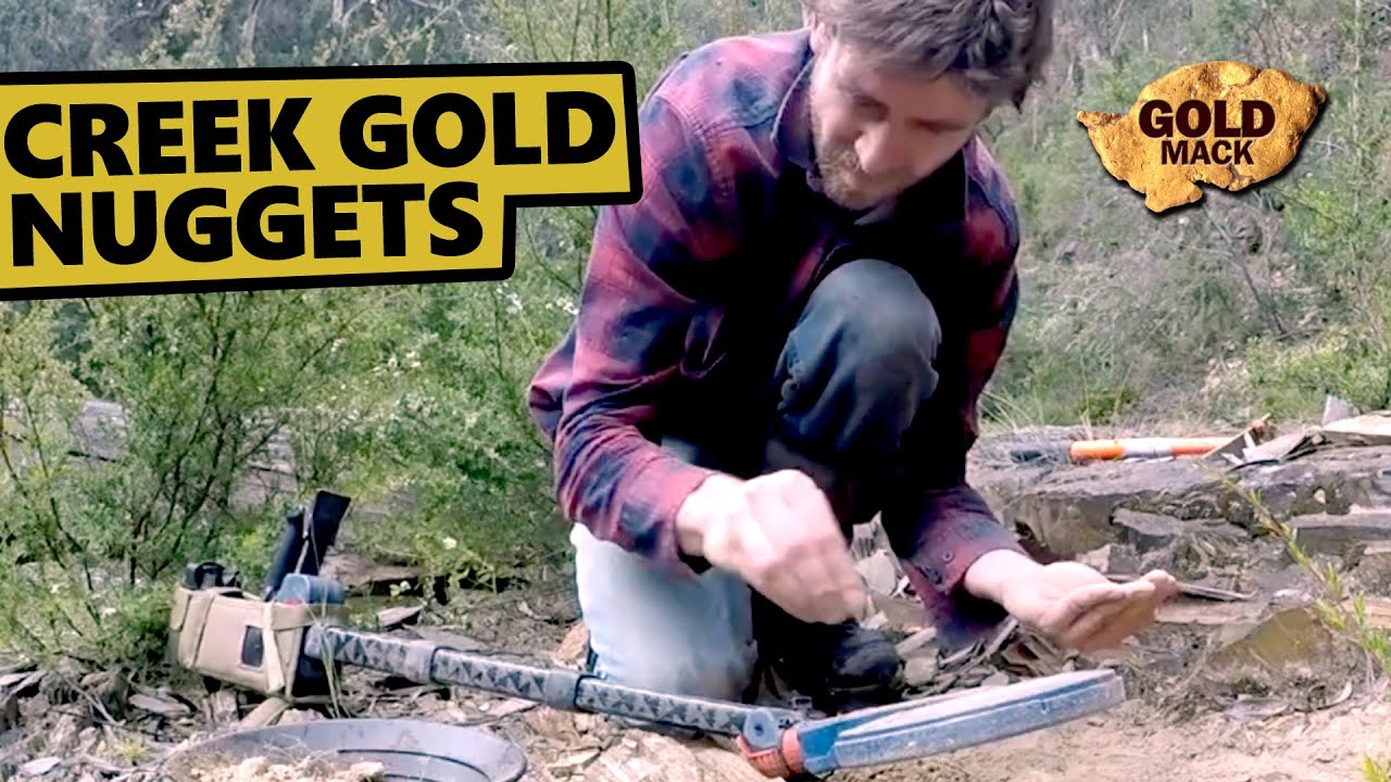 Creek Gold Nuggets Found Using the SDC 2300 Metal Detector