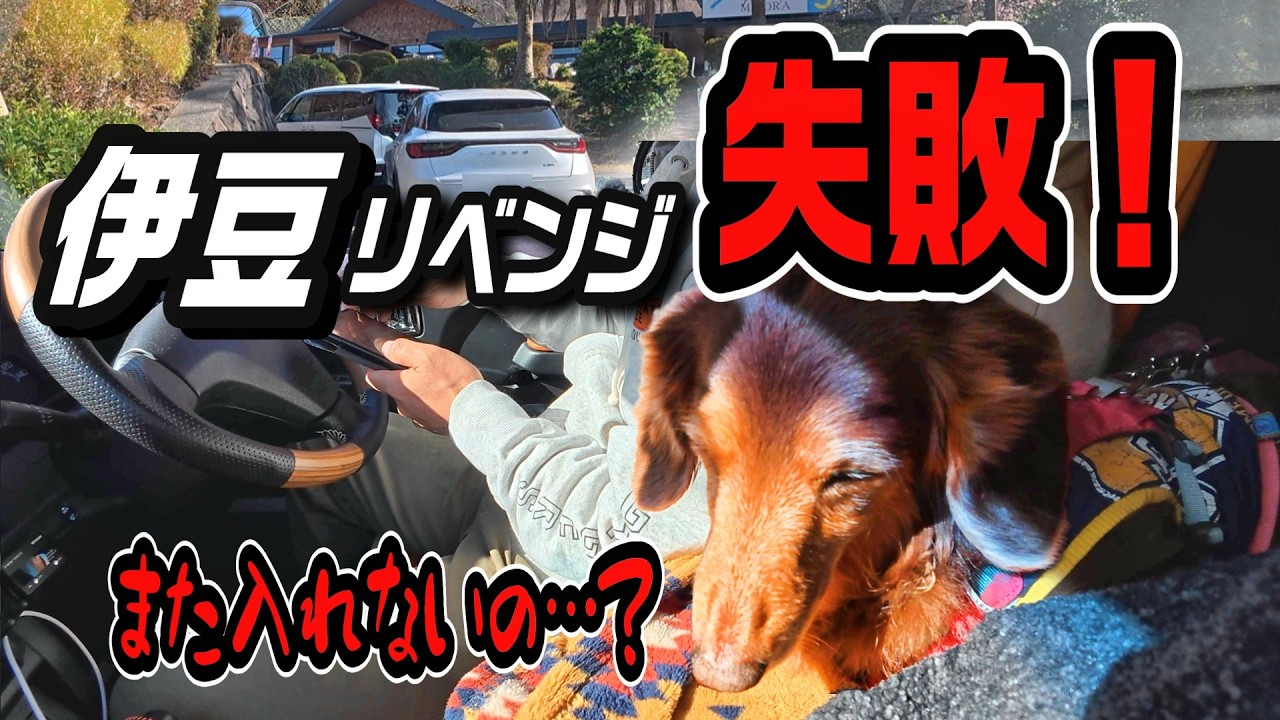 【伊豆リベンジ旅】今度こそ！と意気込んだ結果、リベンジ終了…でも、これはこれで最高でした！